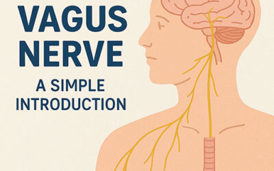Vagus Nerve – A Simple Guide
