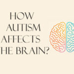 How autism affects the brain