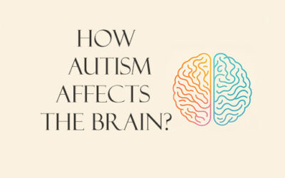 How Autism Affects the Brain